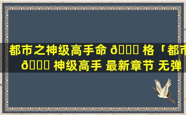 都市之神级高手命 🐝 格「都市 🕊 神级高手 最新章节 无弹窗」